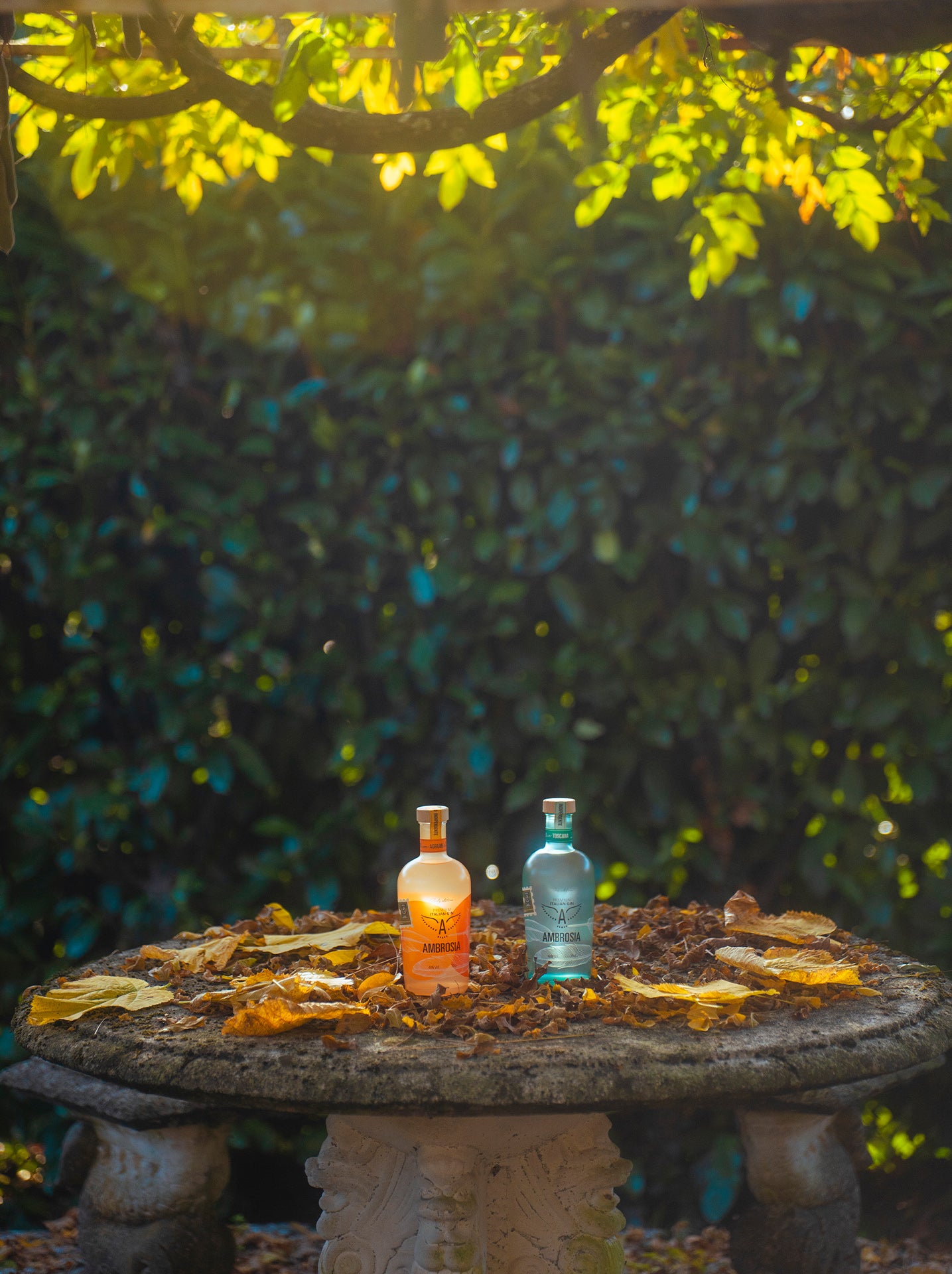 Ambrosia Day Edition