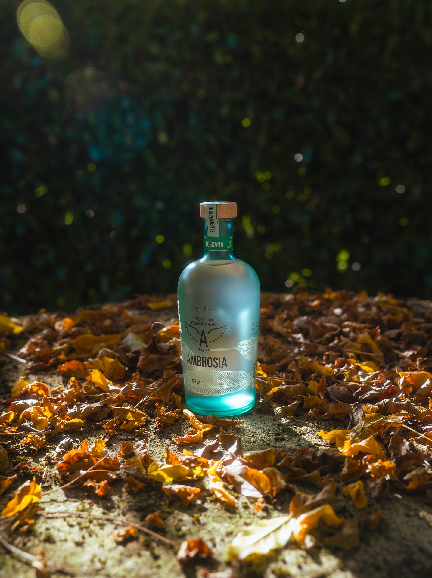 Ambrosia Day Edition